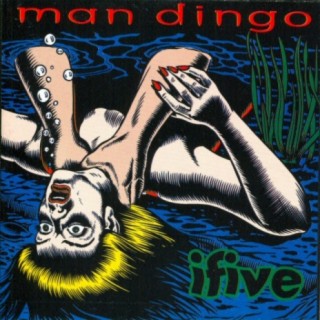Man Dingo