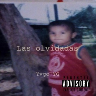Yvgo YG