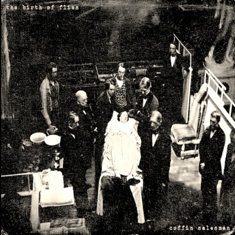 The Birth of Flies cover art