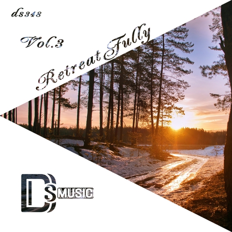 The Summer, a Dream (Angelo-K Break Love Mix) cover art