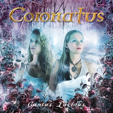 Ihr habt die Schuld! cover art