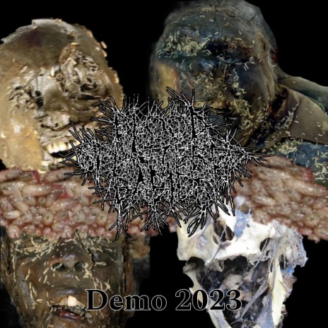 Festering Smell Of Your Rotted Body cover art