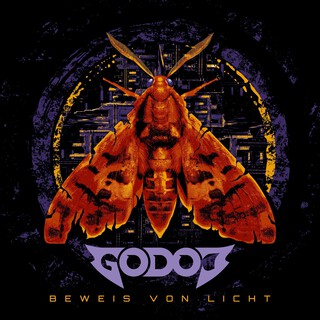 Beweis von Licht cover art