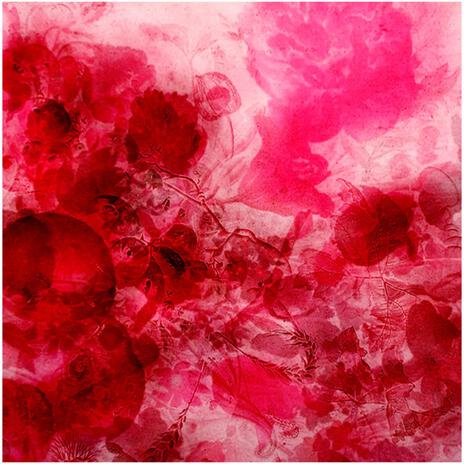 Suavé cover art