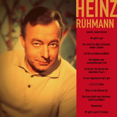 Das mach ich alles mit einem netten Lächeln ft. Orchester Werner Bochmann cover art