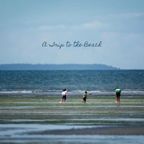 A Trip to the Beach cover art