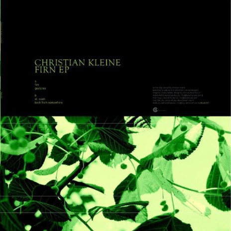 Firn cover art