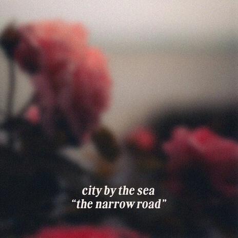the narrow road