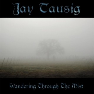 Wandering Through the Mist