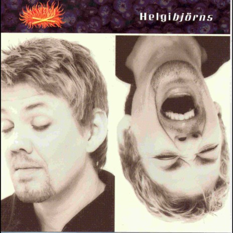 Bleikur cover art