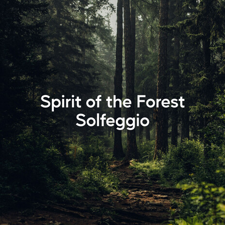 Woodland Oasis Calm ft. Relaxation And Meditation cover art