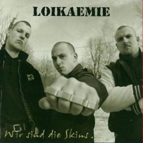 Haut dem Volk aufs Maul cover art