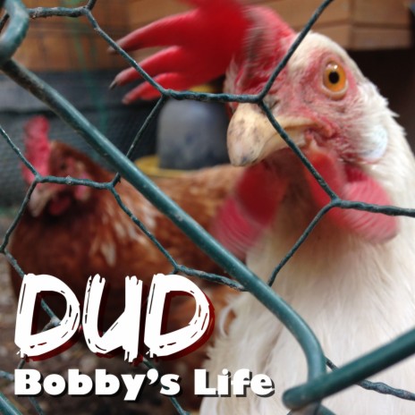 Dudic Life Reloaded cover art