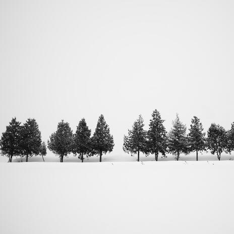 Winter Sky
