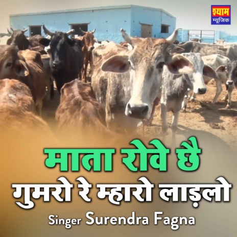 Mata Rove Chh Gumgo R Mharo Ladlo cover art