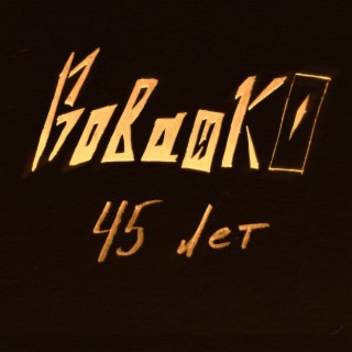 45 лет