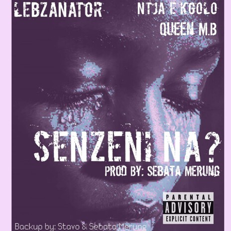 Senzeni Na ft. Queen M.B, Ntja E Kgolo, Sebata & Stavo cover art