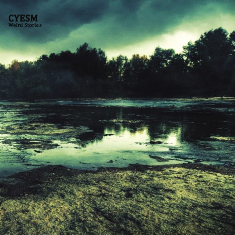 Quiet in the Storm cover art