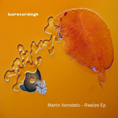 Realize (Original Mix)