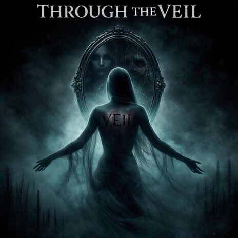VEIL (Instrumental) cover art