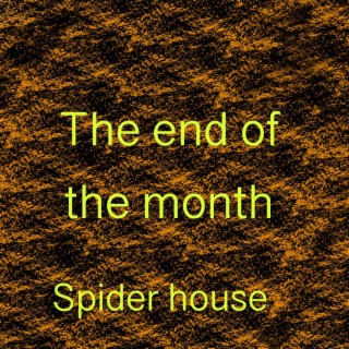 Spider House