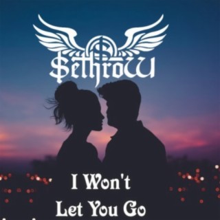 I Won't Let You Go (Original Mix) cover art