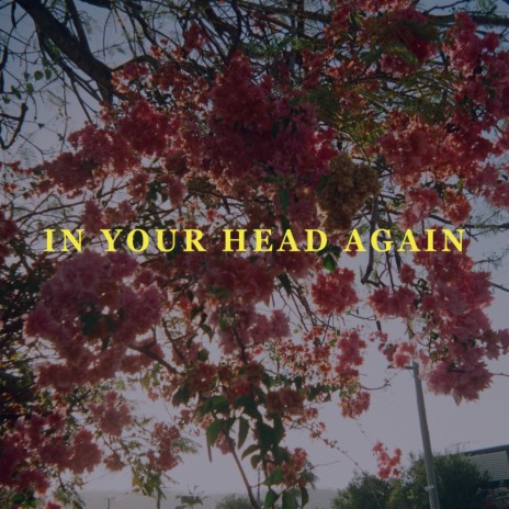 Special cover art