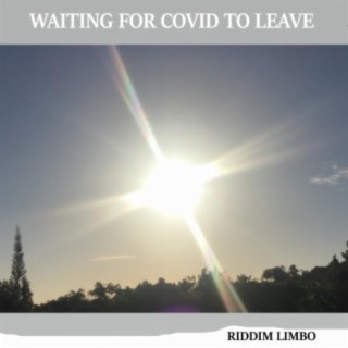Riddim Limbo