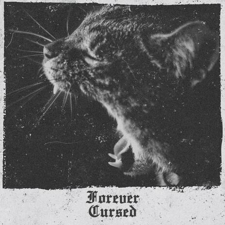 Put To Sleep cover art