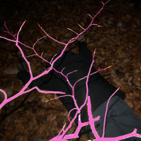 C-R-A-VE cover art