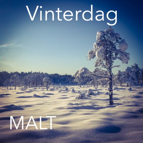 Vinterdag cover art