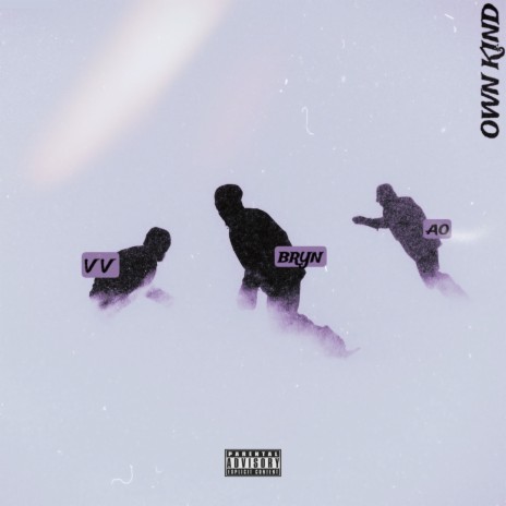 Own Kind ft. Bryn & A.O_401 cover art