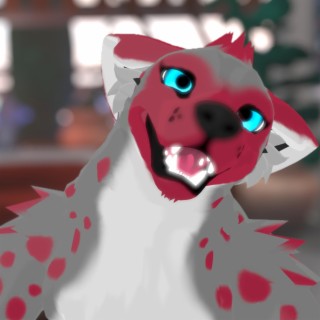 can dogs have adderall