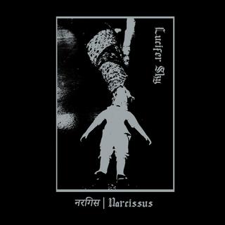 नर्गिस | Narcissus