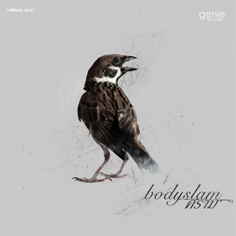 แสงสุดท้าย cover art