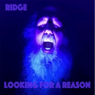 Looking For A Reason