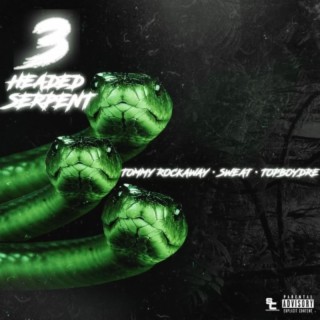 3 Headed Serpent ft. TopBoyDre & $weat cover art