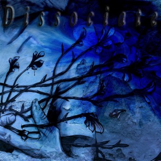Dissociate