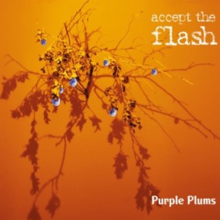 Accept the Flash