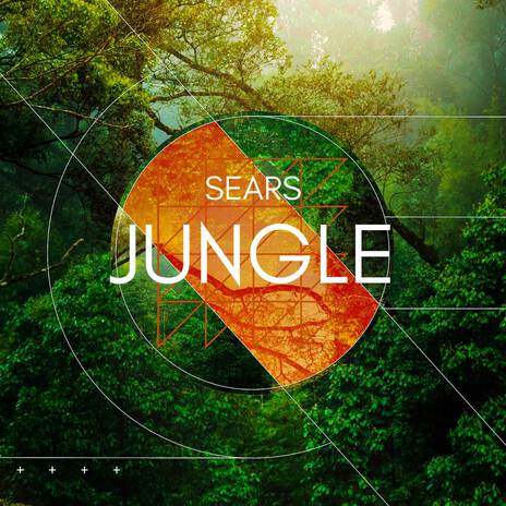 Jungle Hard cover art