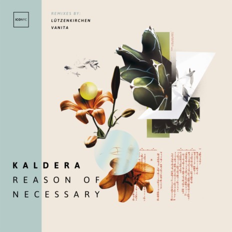 Reason of Necessary (Lutzenkirchen Dub Mix)