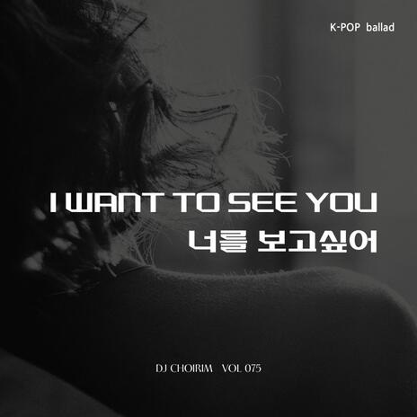 너를 보고 싶어 cover art