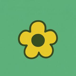 FOLIUM