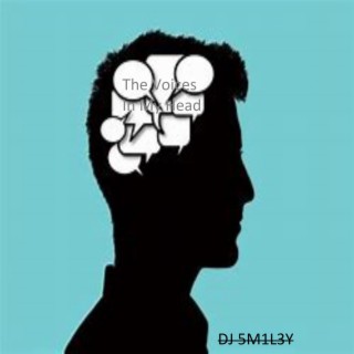 The Voices In My Head