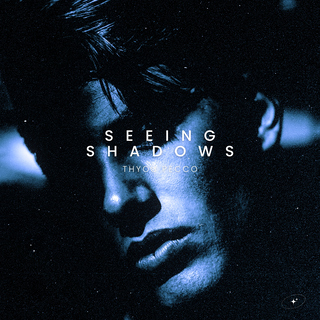 Seeing Shadows