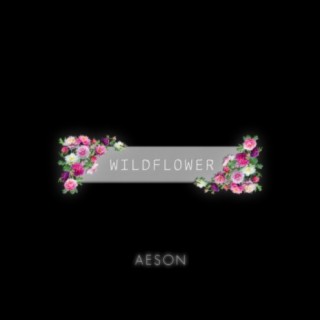 Aeson