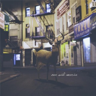Our Wild America