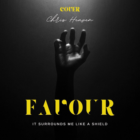 Favour ( Cover ) cover art