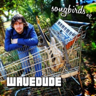 Wavedude