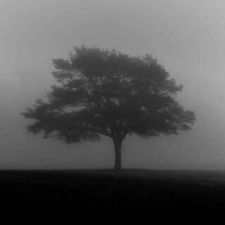 Seasonal Depression (Slowed & Reverb) ft. Azaky cover art